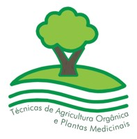 curso AO